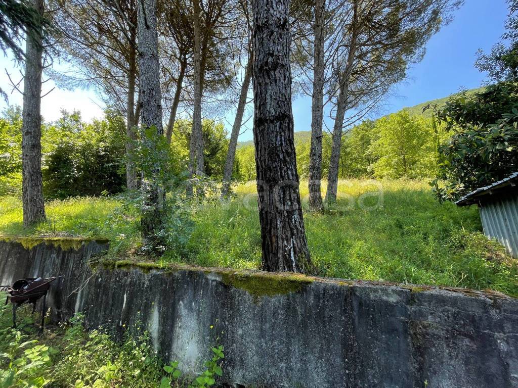 immagine annuncio 7 di 14