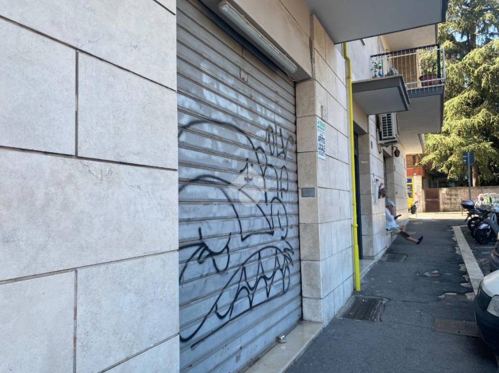 immagine annuncio 8 di 11