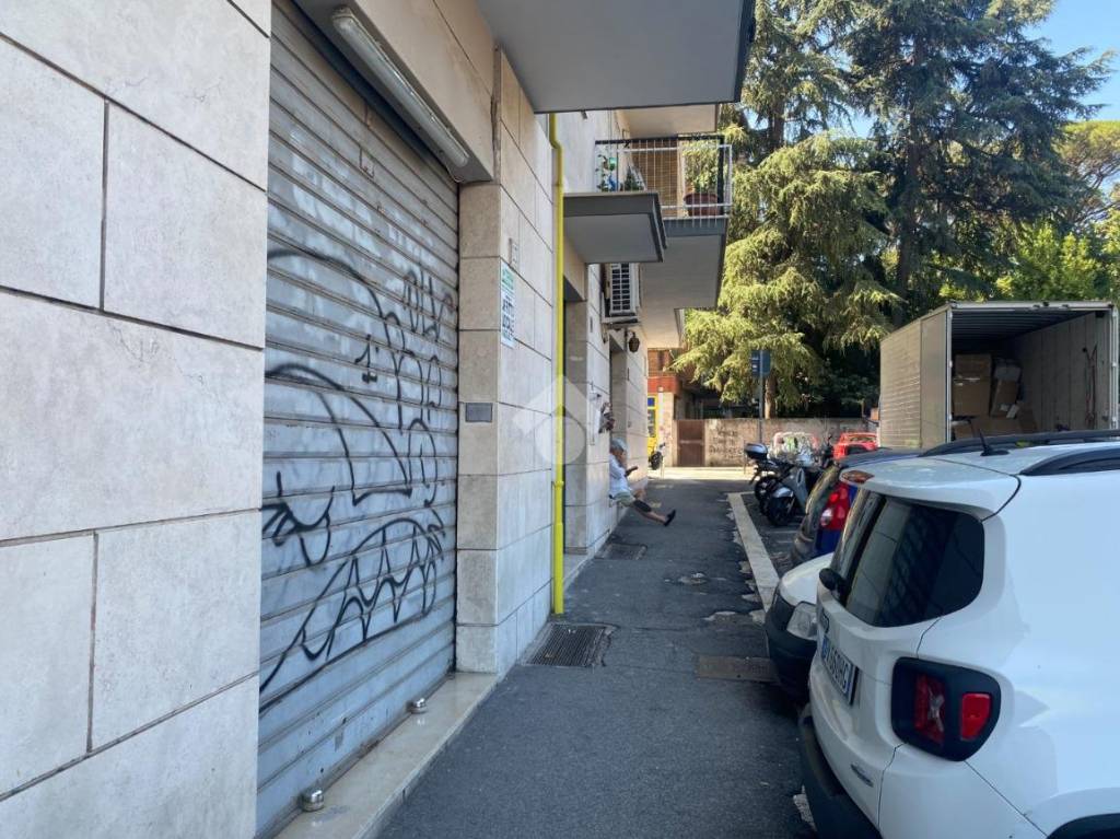 immagine annuncio 9 di 11