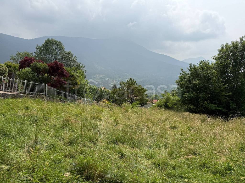 immagine annuncio 1 di 6