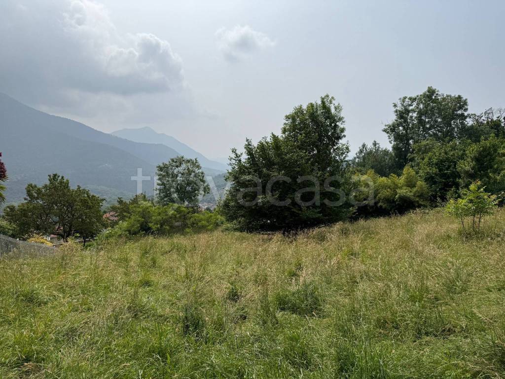 immagine annuncio 4 di 6