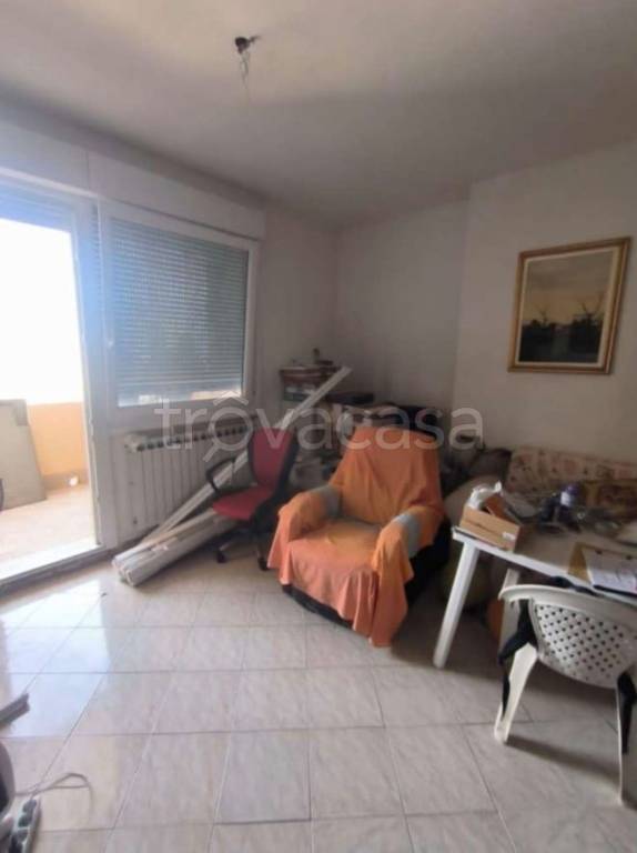 immagine annuncio 6 di 12