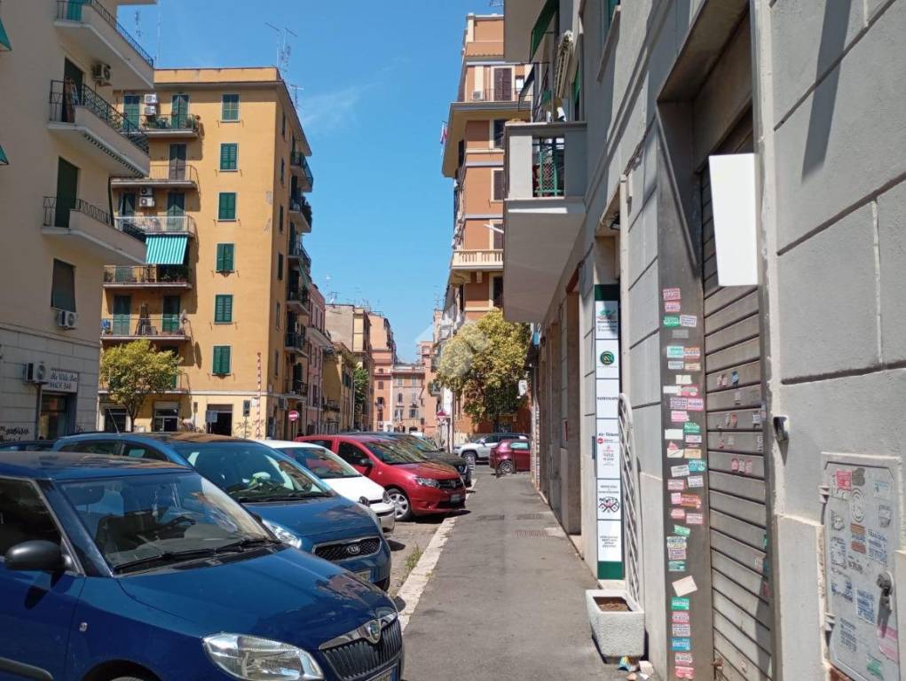 immagine annuncio 1 di 11