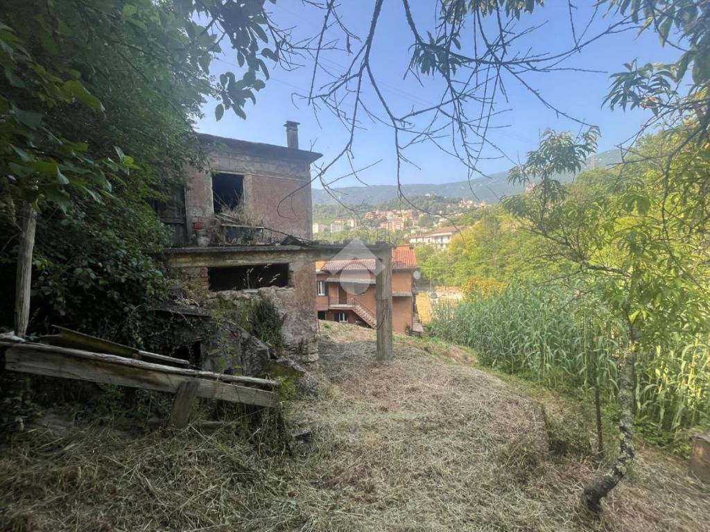 immagine annuncio 5 di 8