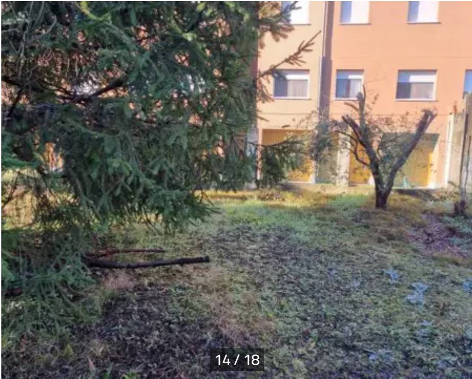 immagine annuncio 4 di 13