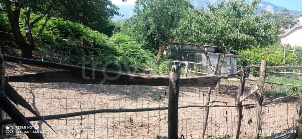 immagine annuncio 3 di 6