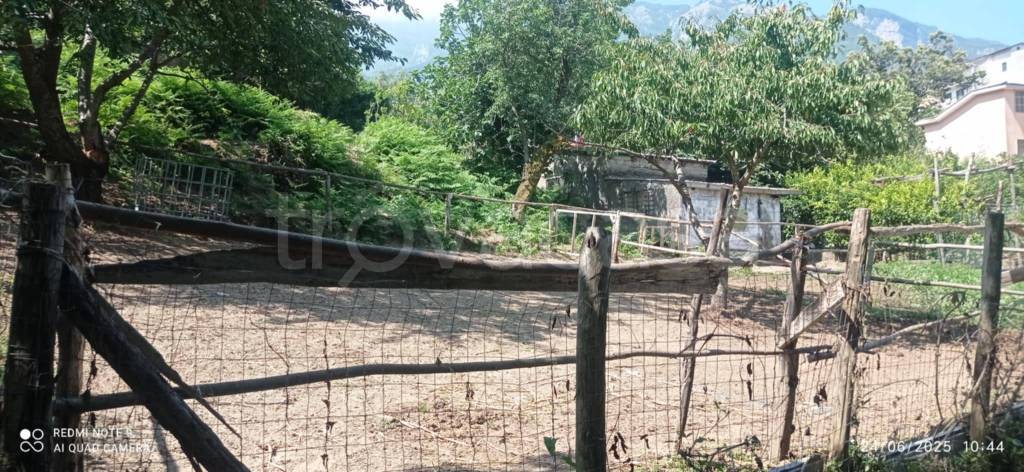 immagine annuncio 4 di 6