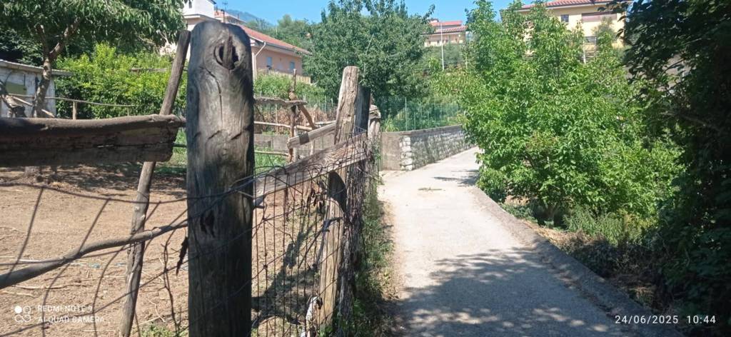 immagine annuncio 5 di 6