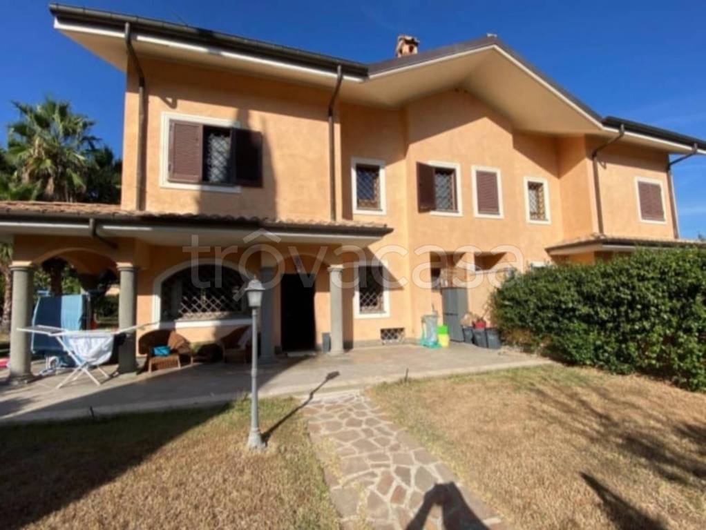 immagine annuncio 11 di 14