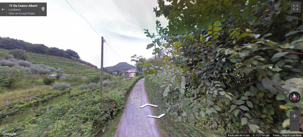 immagine annuncio 1 di 12