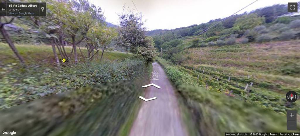 immagine annuncio 3 di 12