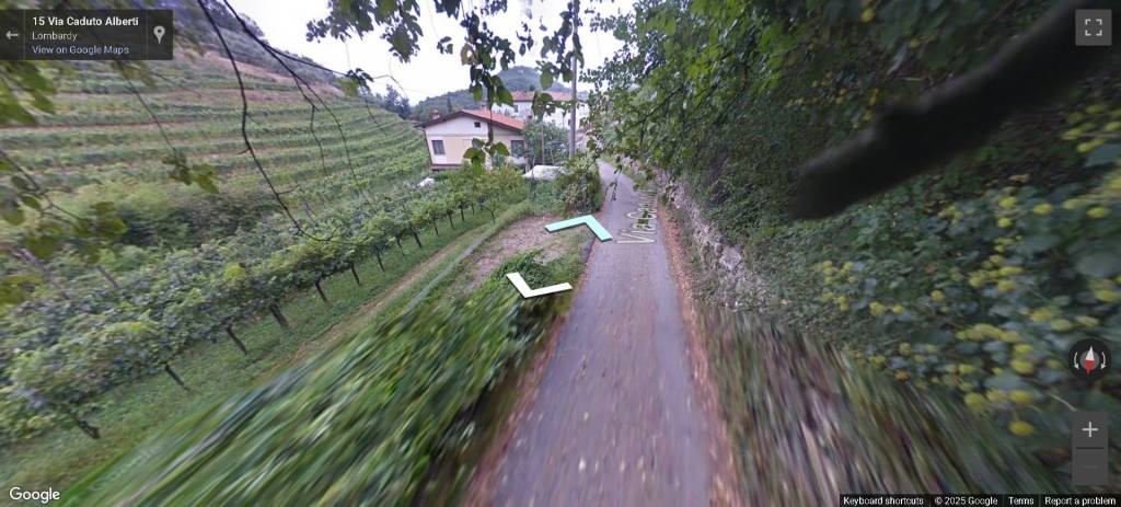 immagine annuncio 6 di 12