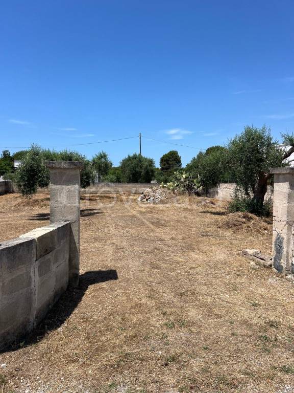 immagine annuncio 7 di 9