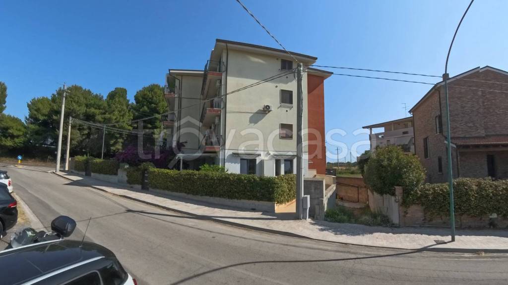 immagine annuncio 7 di 11