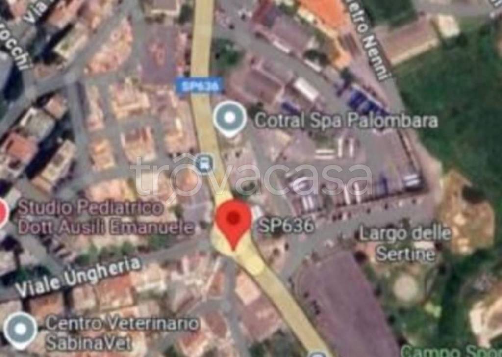 immagine annuncio 11 di 13