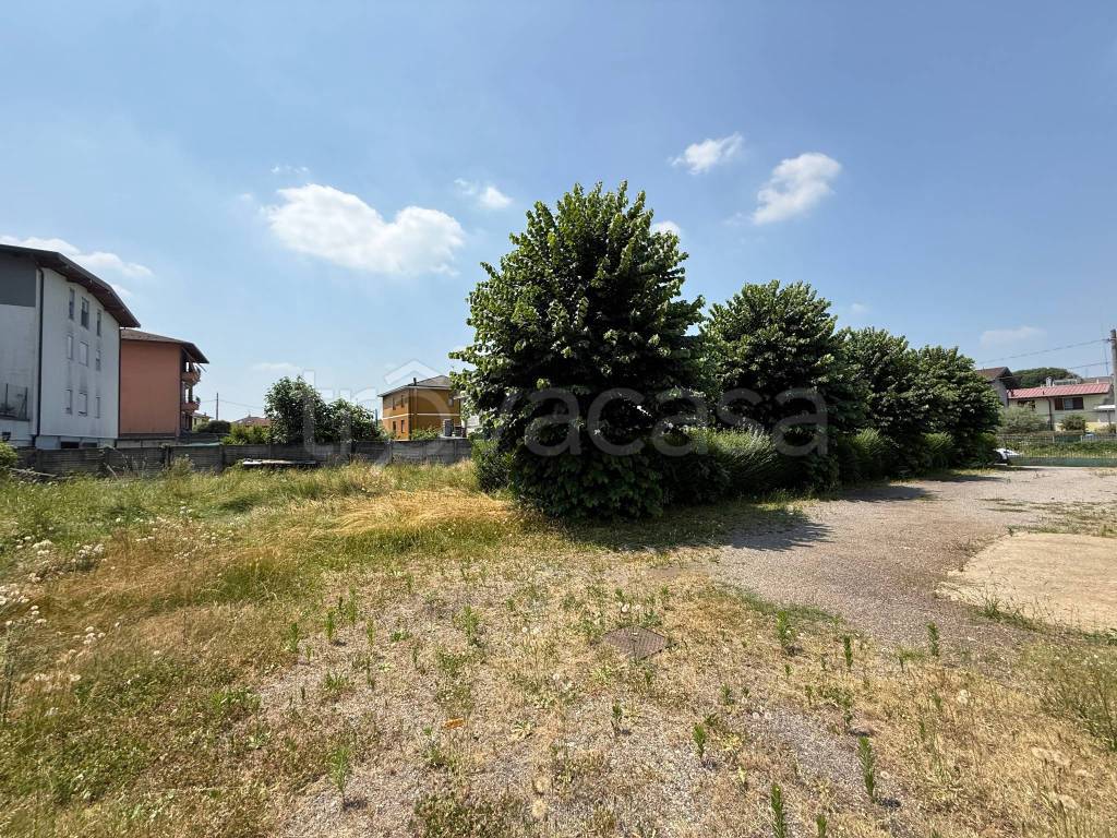immagine annuncio 9 di 15