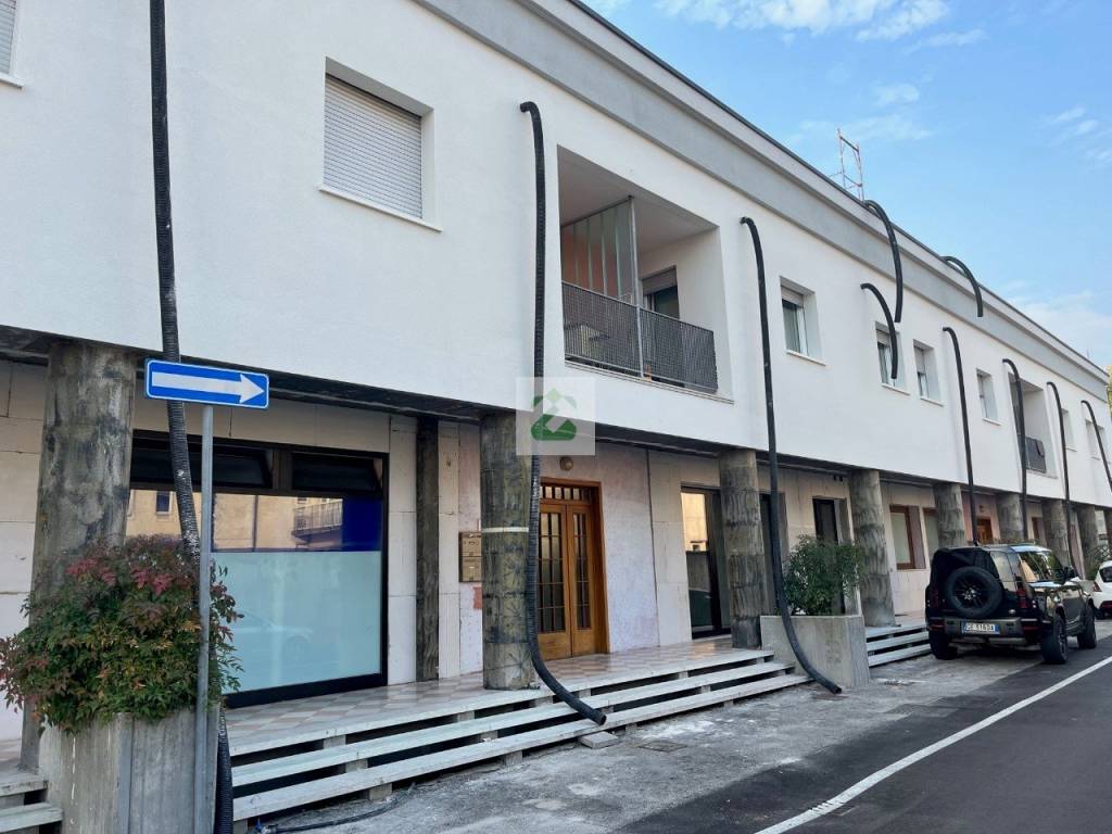 immagine annuncio 9 di 14