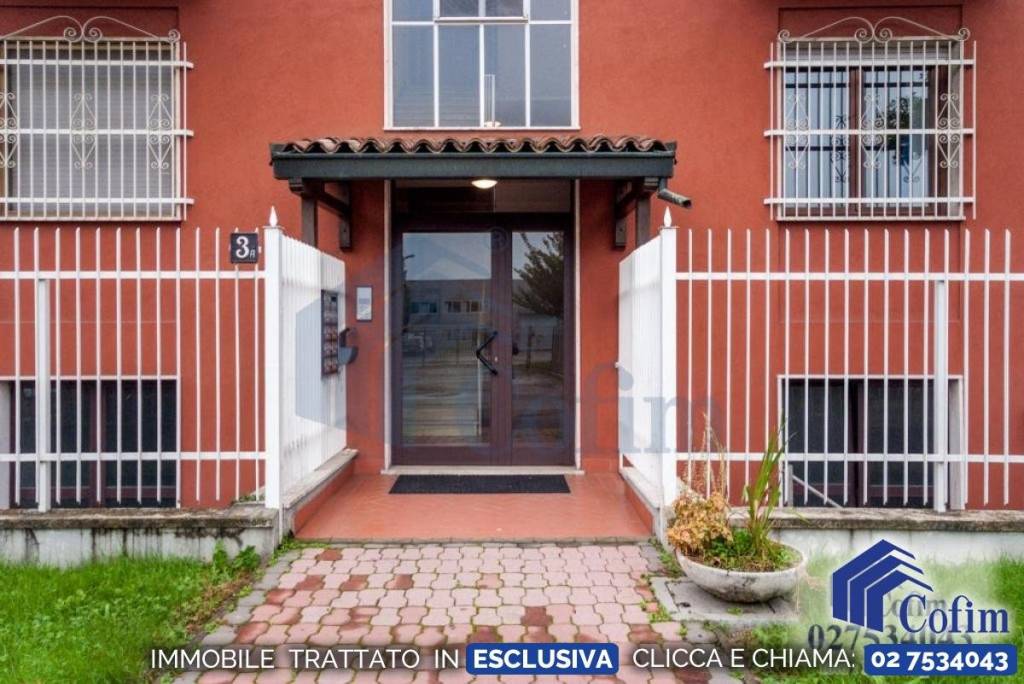 immagine annuncio 12 di 15