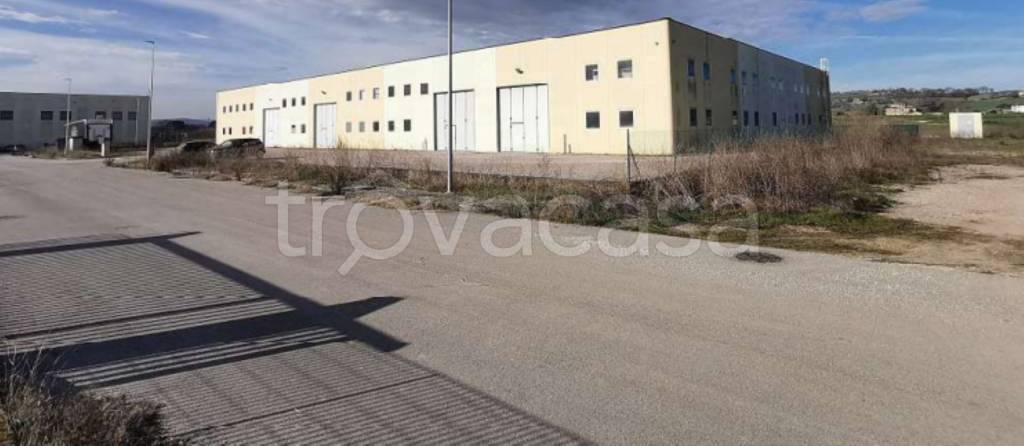 immagine annuncio 6 di 11