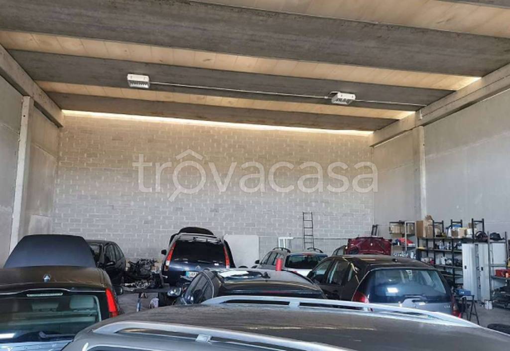 immagine annuncio 11 di 13