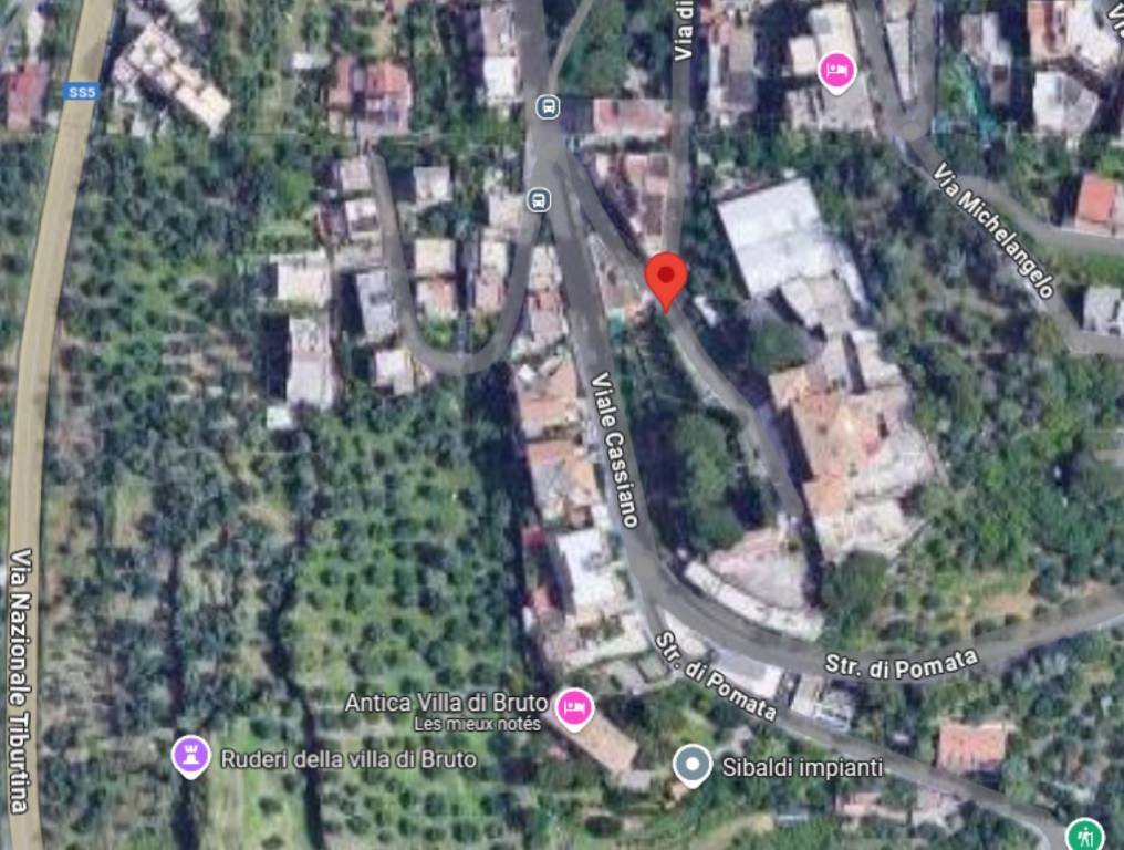 immagine annuncio 7 di 11