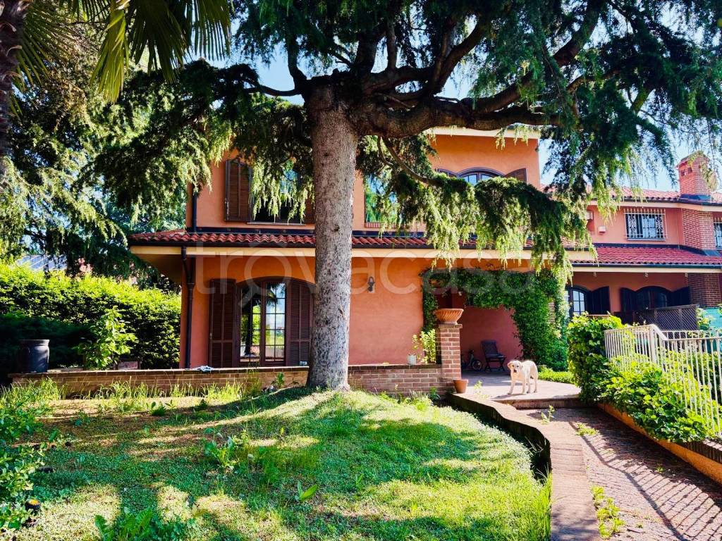 immagine annuncio 1 di 15