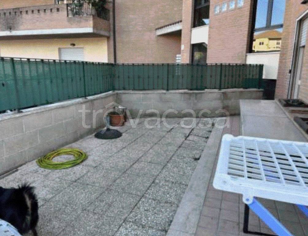 immagine annuncio 4 di 12