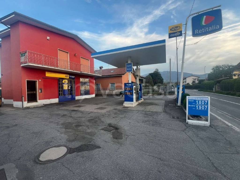 immagine annuncio 1 di 10