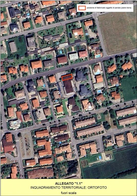 immagine annuncio 10 di 11