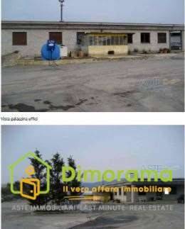 immagine annuncio 2 di 13