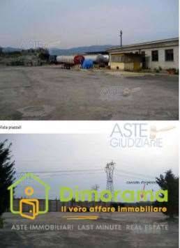 immagine annuncio 5 di 13