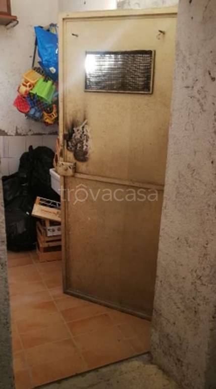 immagine annuncio 12 di 14