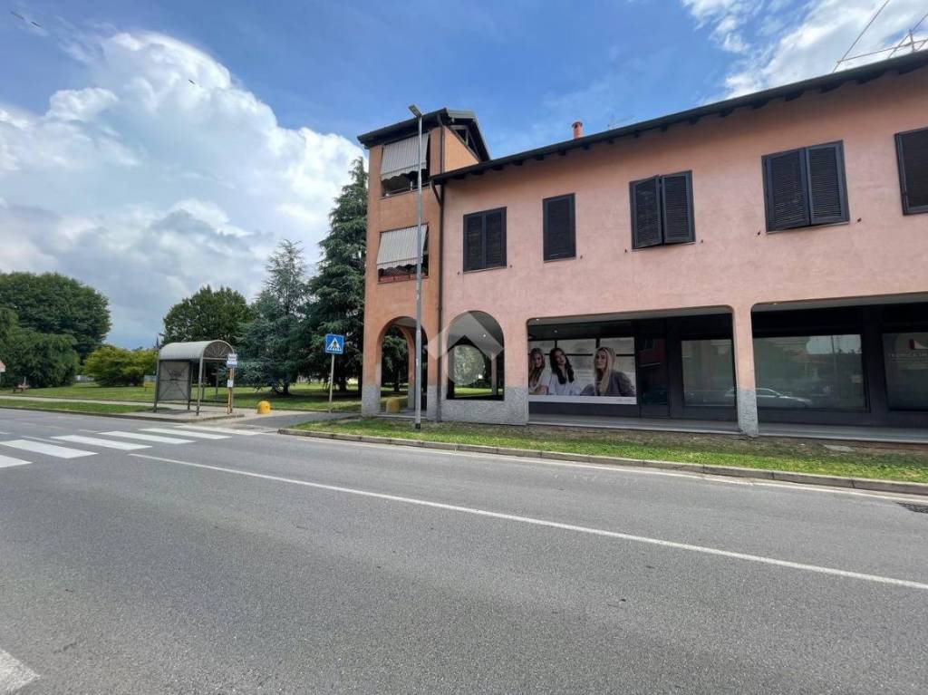immagine annuncio 1 di 14