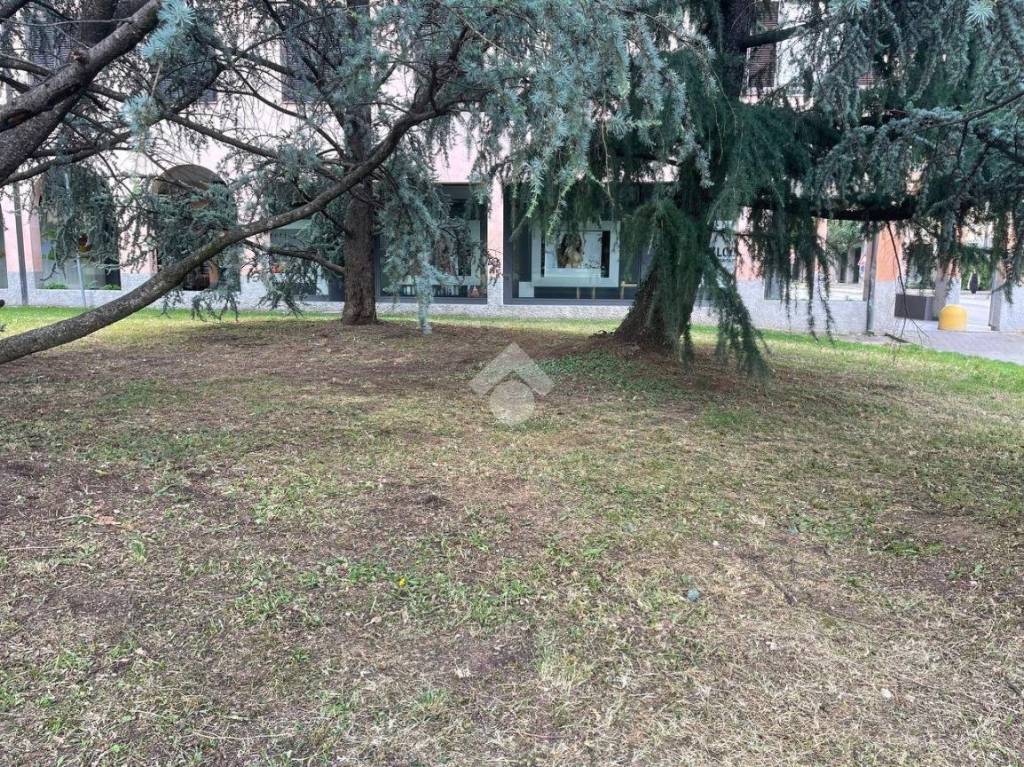 immagine annuncio 6 di 14