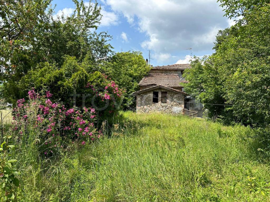 immagine annuncio 5 di 6