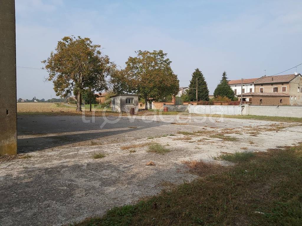 immagine annuncio 4 di 9