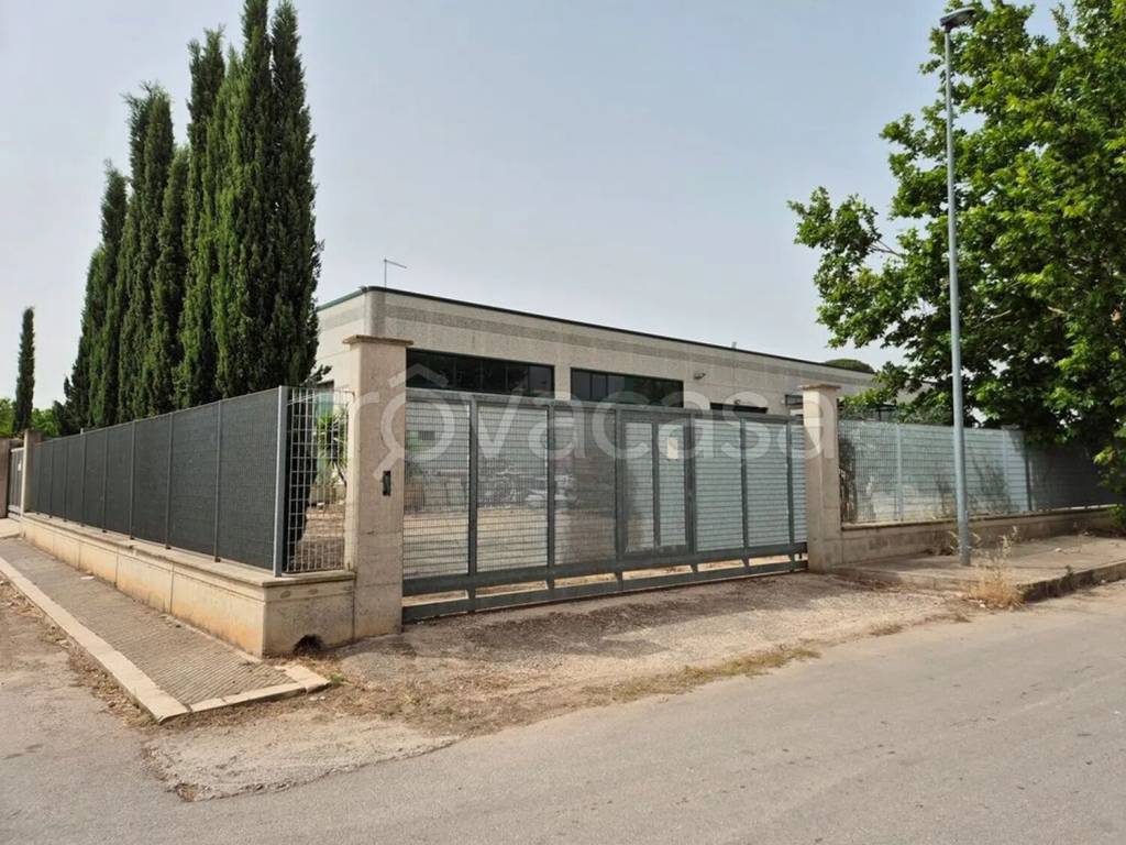 immagine annuncio 3 di 12