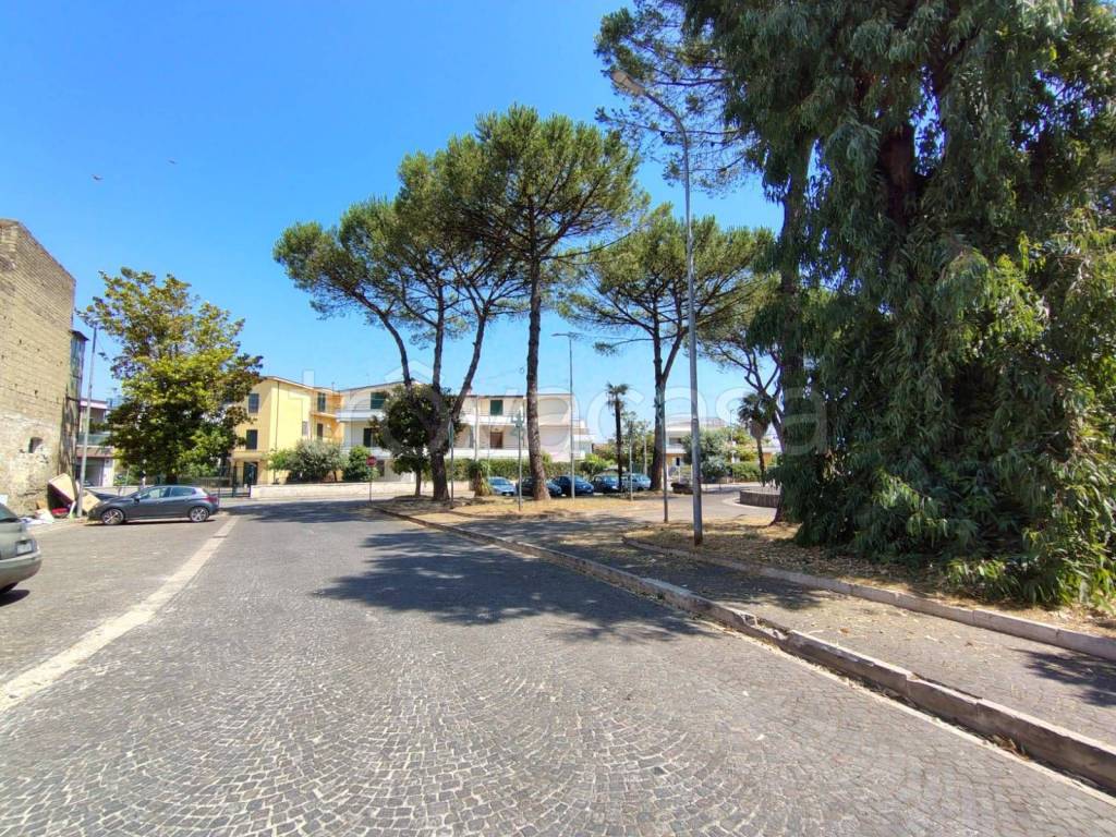 immagine annuncio 9 di 12