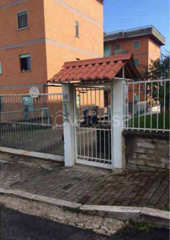 immagine annuncio 5 di 11