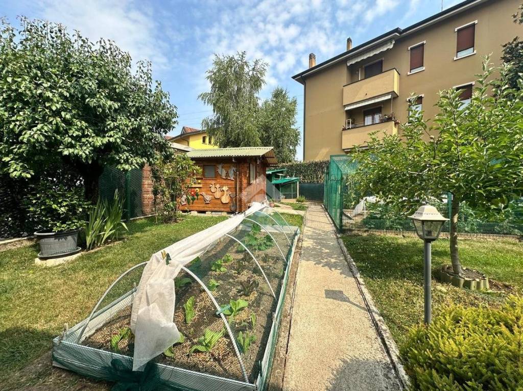 immagine annuncio 4 di 15