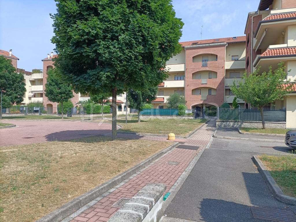 immagine annuncio 9 di 10