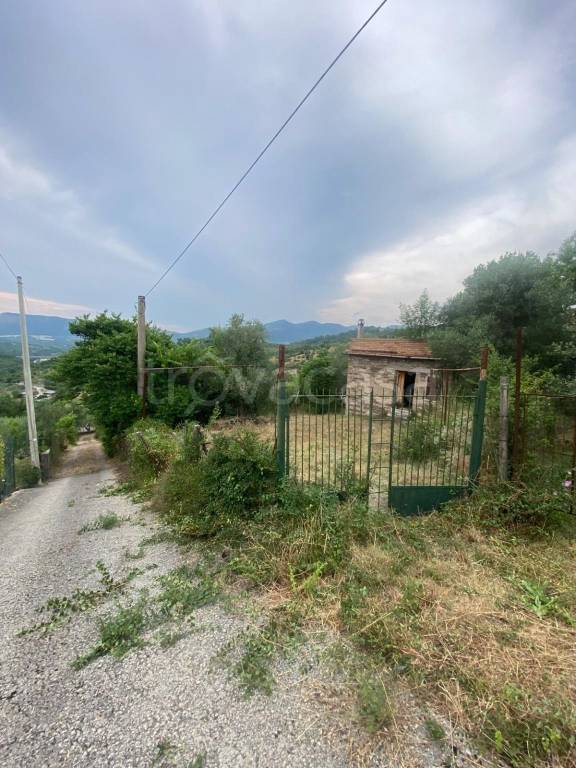 immagine annuncio 4 di 10