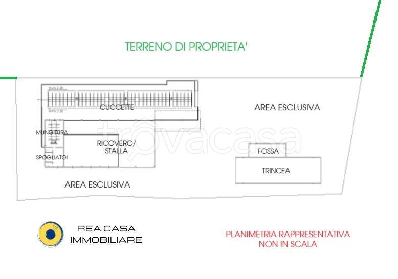 immagine annuncio 13 di 15