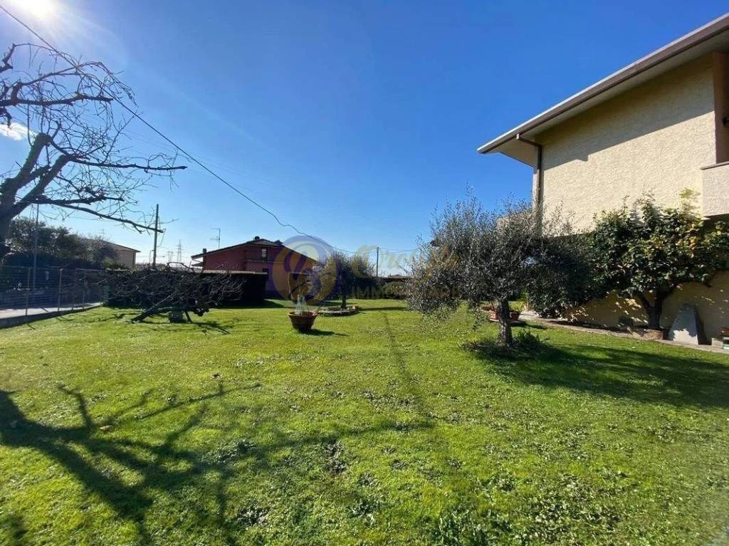 immagine annuncio 4 di 15