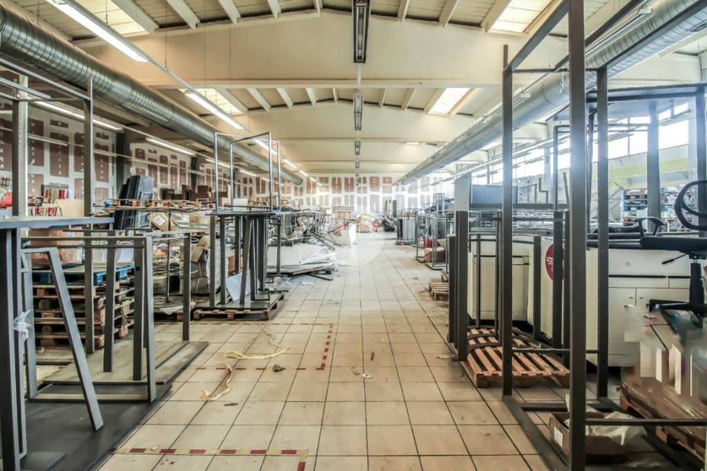 immagine annuncio 5 di 15