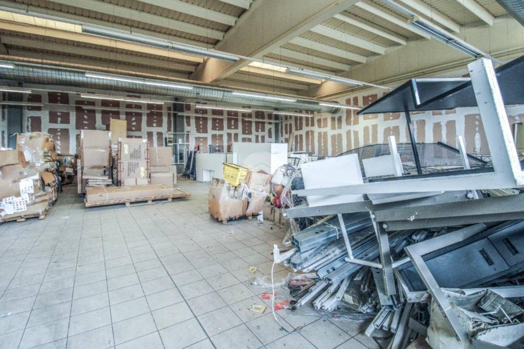 immagine annuncio 11 di 15