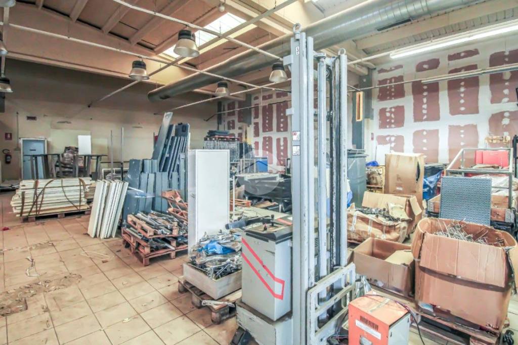 immagine annuncio 12 di 15