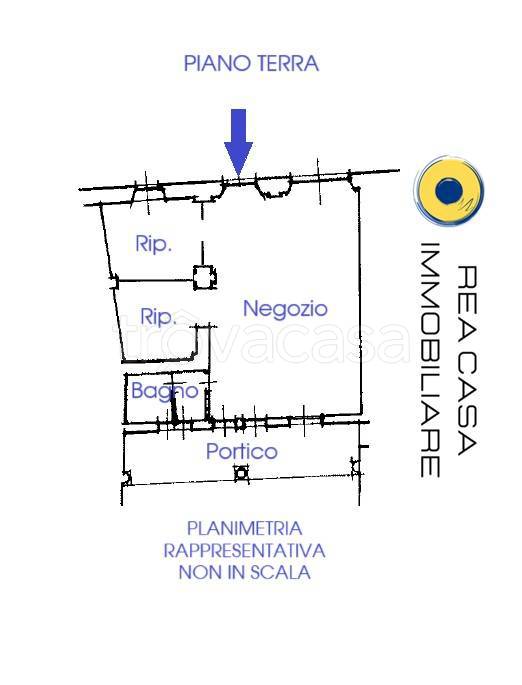 immagine annuncio 12 di 13