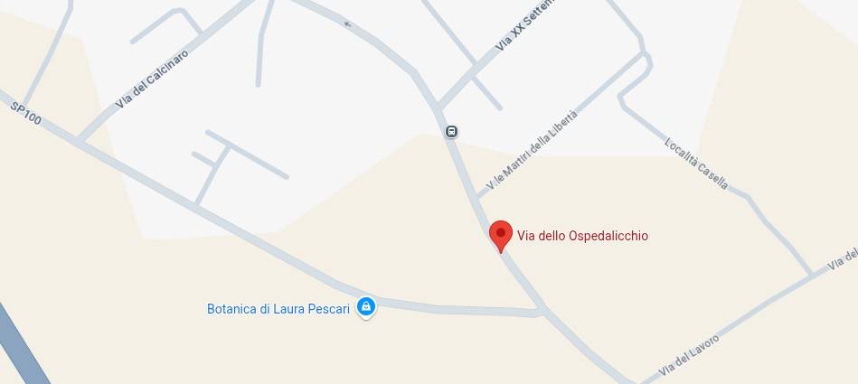 immagine annuncio 3 di 15