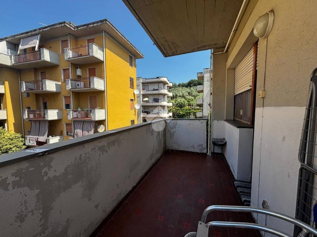 immagine annuncio 9 di 13